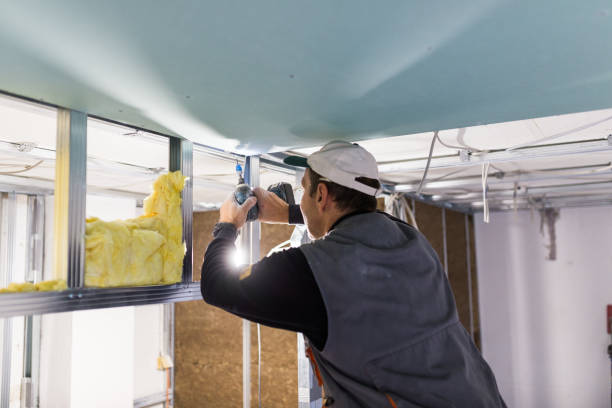 Best Types of Insulation in Temesl Valley, CA